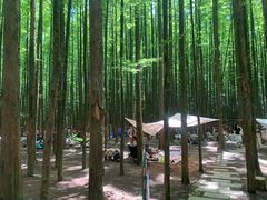 -山王坪喀斯特国家生态公园