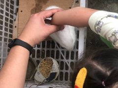 -马陆小张葡萄园农家乐