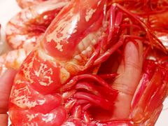 -金苑海鲜酒家(来魅力店)