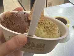 -极拉图·现制冰淇淋(大卫城店)