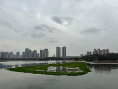 -月湖风景区