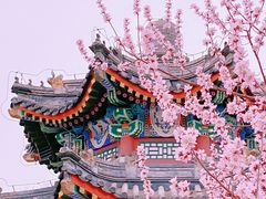 -颐和园