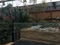 -老磨油饼(高陵店)