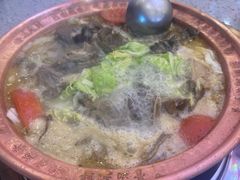 -阿婆情腊排骨火锅(金虹路店)