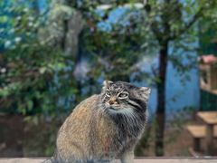 -青藏高原野生动物园