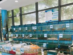 水产区-锦里海景海鲜餐厅.三亚老字号(亚龙湾中心广场店)
