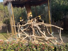 -上海野生动物园