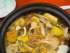 -菌之家·专业纯野生菌火锅·特色炒菌