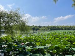 -长春市南湖公园