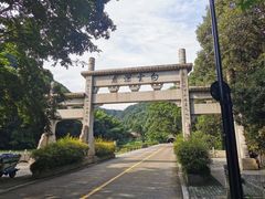 -龙坞茶村