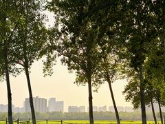 -汉长安城未央宫国家考古遗址公园