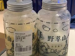 -野萃山·潮汕厚果汁(十亩地店)