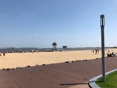 -王阿姨文昌油赞子(府桥街店)