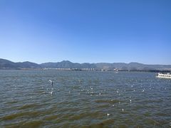 -海埂大坝
