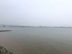 -大湾区中央湿地公园
