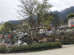 -老幺泉水鸡