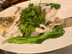 桂花鱼捞陈村粉-广州康莱德·韵轩中餐厅