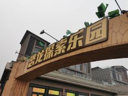 -恐龙探索乐园(磁器口店)