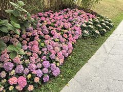 -云溪植物园