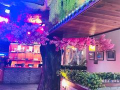 -茅台镇网红溶洞餐厅·茅帮菜馆
