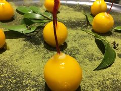 -大鸭梨烤鸭·北京菜(南小街/南苑店)