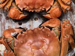 -老广新意(奥园店)