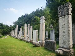 -徐州龟山景区