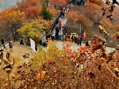 -狼牙山风景区