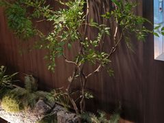 -食悦江南·淮扬菜·烤鸭(亚运村·惠新店)