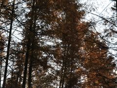 -山王坪喀斯特国家生态公园