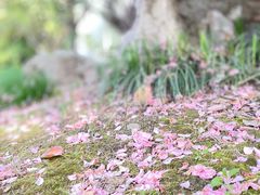 -春兰国宾馆(凤城河风景区老街店)