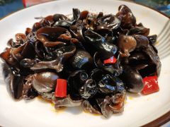 -梁溪河畔·吉府花园(南长街南下塘店)