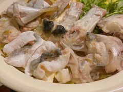 -桥岚·巷子鲜河豚鱼(专门店)