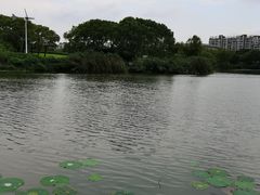 -新江湾城公园