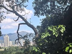 -江心屿景区