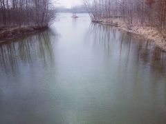 android_upload_pic-溱湖国家湿地公园