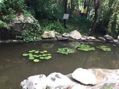 -少华山国家森林公园