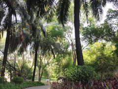 -深圳龙潭公园