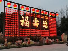 -合肥滨湖国家森林公园