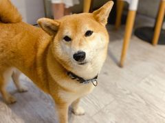 -小时光咖啡馆(北锣鼓巷店)