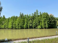 -顺峰山公园