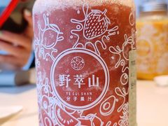 -野萃山·潮汕厚果汁(十亩地店)