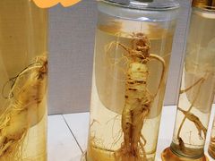 -广东中医药博物馆