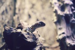 -酷嗒动物文化乐园(cutezoo西溪乐天城店)