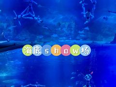 -烟台海昌鲸鲨海洋公园