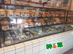 -81BAKERY(大学路店)