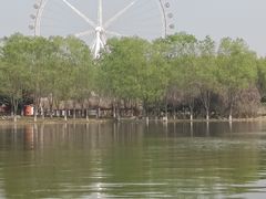 -石家庄市植物园