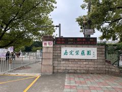 -嘉定紫藤园