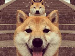 -新时沏奶茶炸鸡(万盛街店)