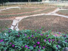 -晓港公园